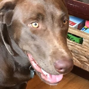 Meet your Posher, Jennifer